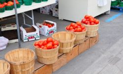 «Полезнее фруктовых»: диетолог объяснила, чем хорош томатный сок