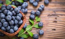 Черника: польза для здоровья и зрения и вкусные рецепты