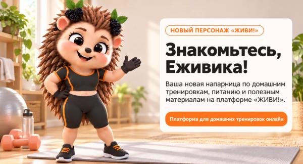 Знакомьтесь, Еживика: ваша верная напарница платформе на Живи!