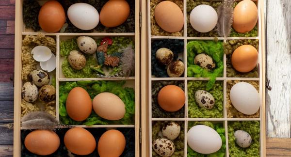 Перепелиные яйца: маленький продукт с большой пользой для рациона