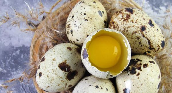 Перепелиные яйца: маленький продукт с большой пользой для рациона